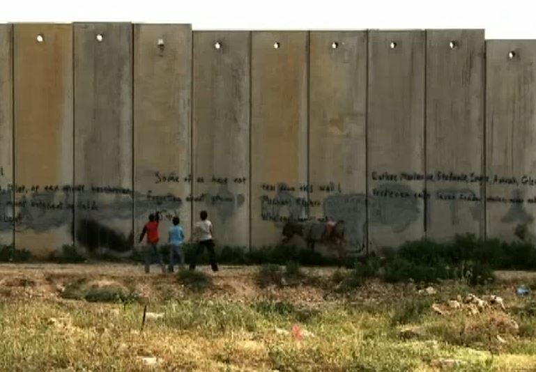 A boy, a wall and a donkey