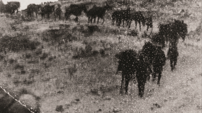 Partition (also:"Partition": Documenting histories of Palestinian Displacement in Lebanon)